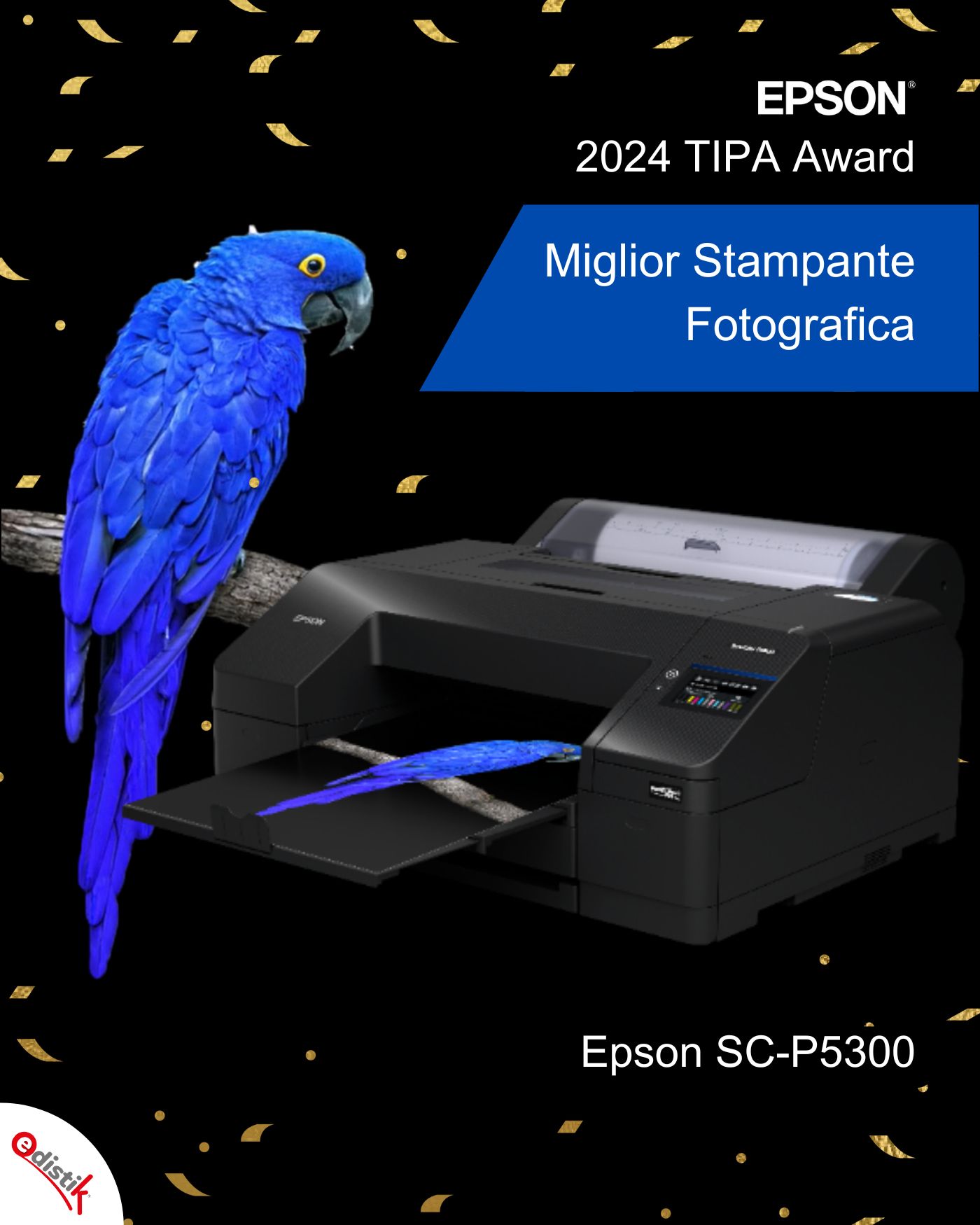 p5300 premio tipa 2024